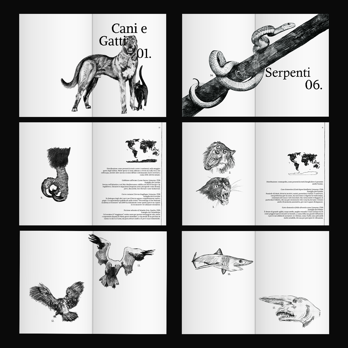 Il grande libro delle bestie - animali che non dovrebbero farci paura