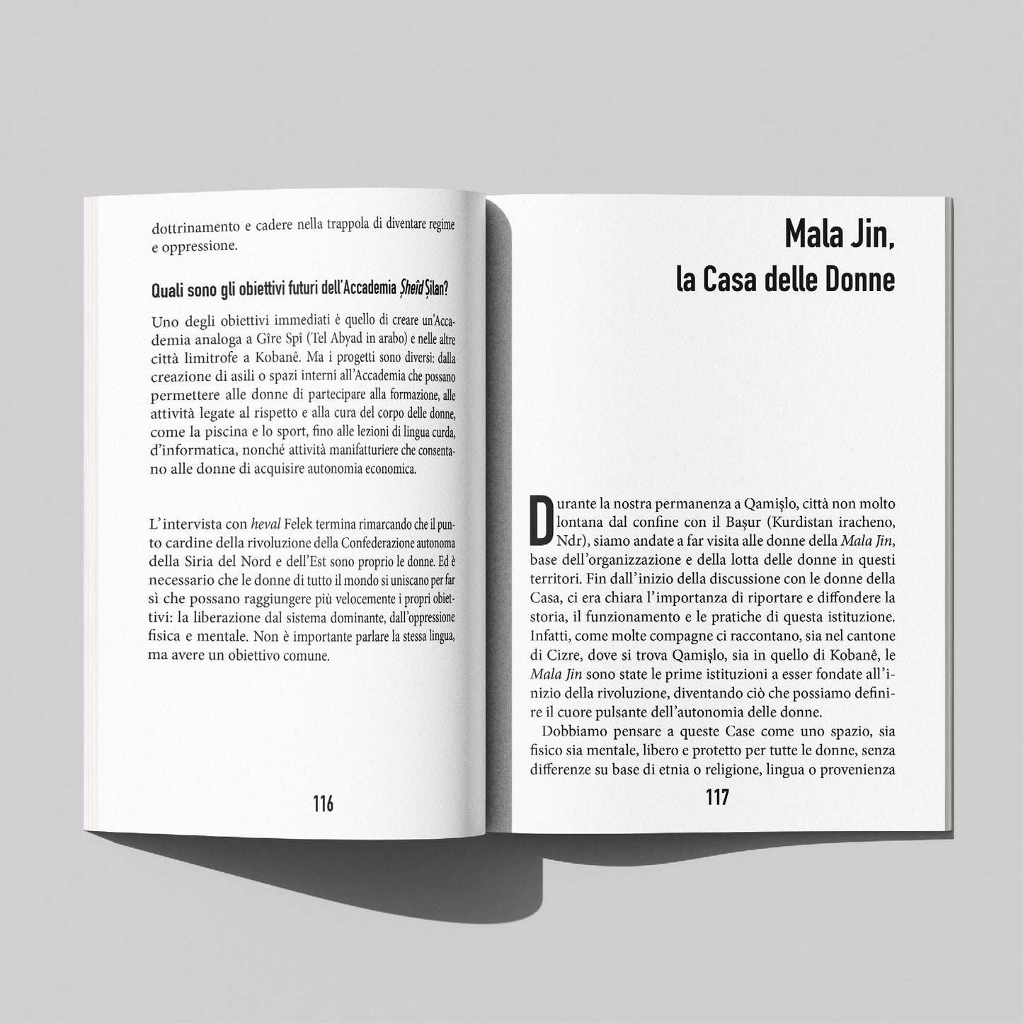 Brigata Maddalena - storie di internazionaliste dal Rojava