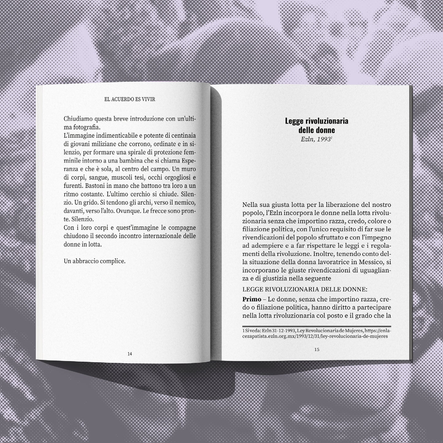El acuerdo es vivir - Interventi e comunicati delle donne ribelli dell'EZLN